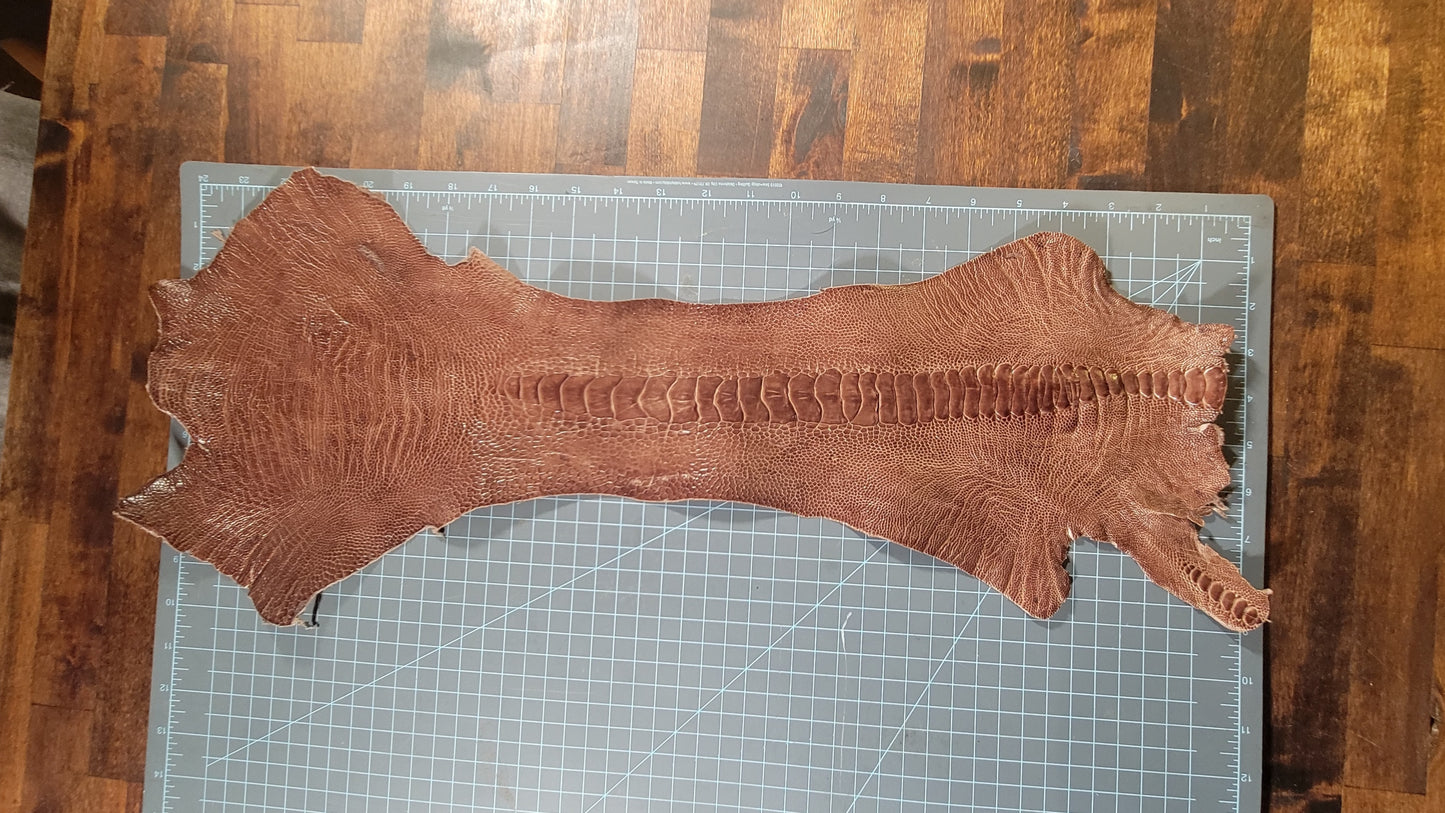 Exotic Ostrich Leg Leather – Fantasy Mermaid Tail Tanned Skins Cosplay Designer Crafting, Wallets, Watch Straps, Jewelry, Purses, Billfolds