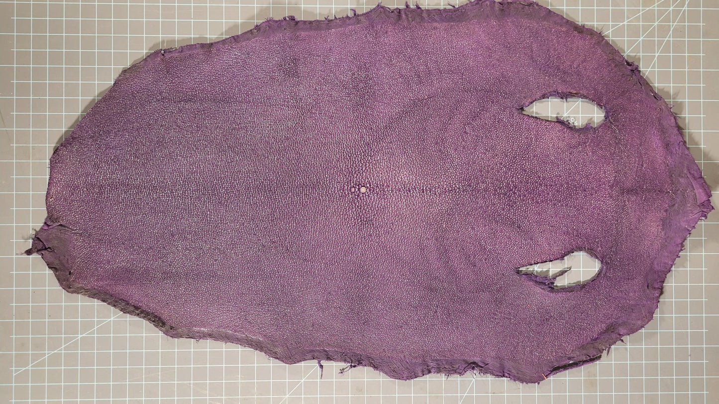 Genuine Exotic STINGRAY Skin LEATHER– Polished & Textured – Multicolor Options – Perfect for LUXURY Accessories, Bags, and Watch Straps