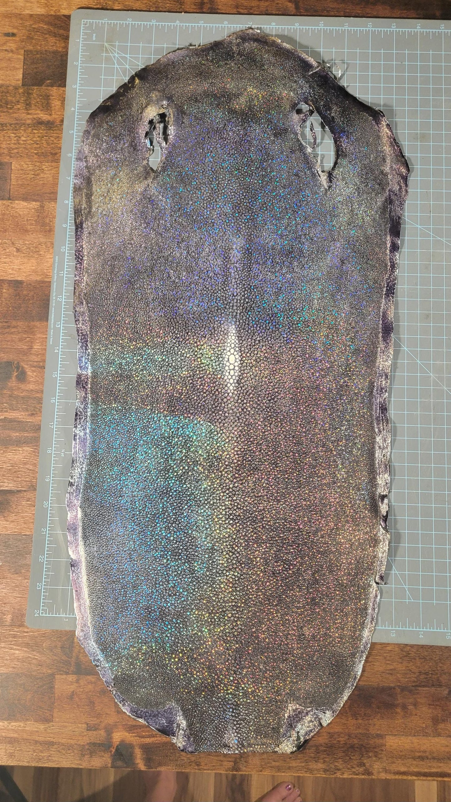 Genuine Exotic STINGRAY Skin LEATHER– Polished & Textured – Multicolor Options – Perfect for LUXURY Accessories, Bags, and Watch Straps