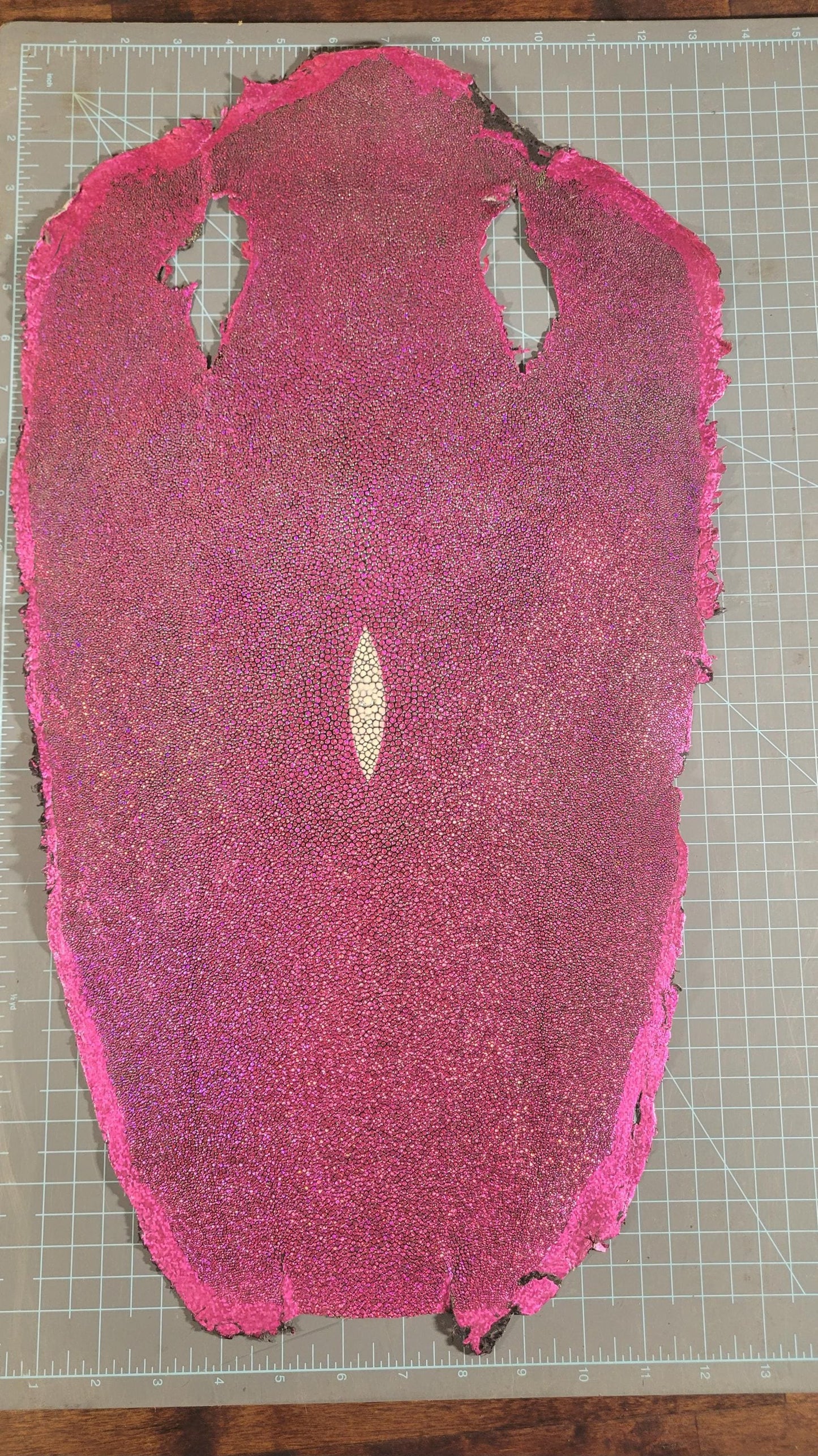 Genuine Exotic STINGRAY Skin LEATHER– Polished & Textured – Multicolor Options – Perfect for LUXURY Accessories, Bags, and Watch Straps