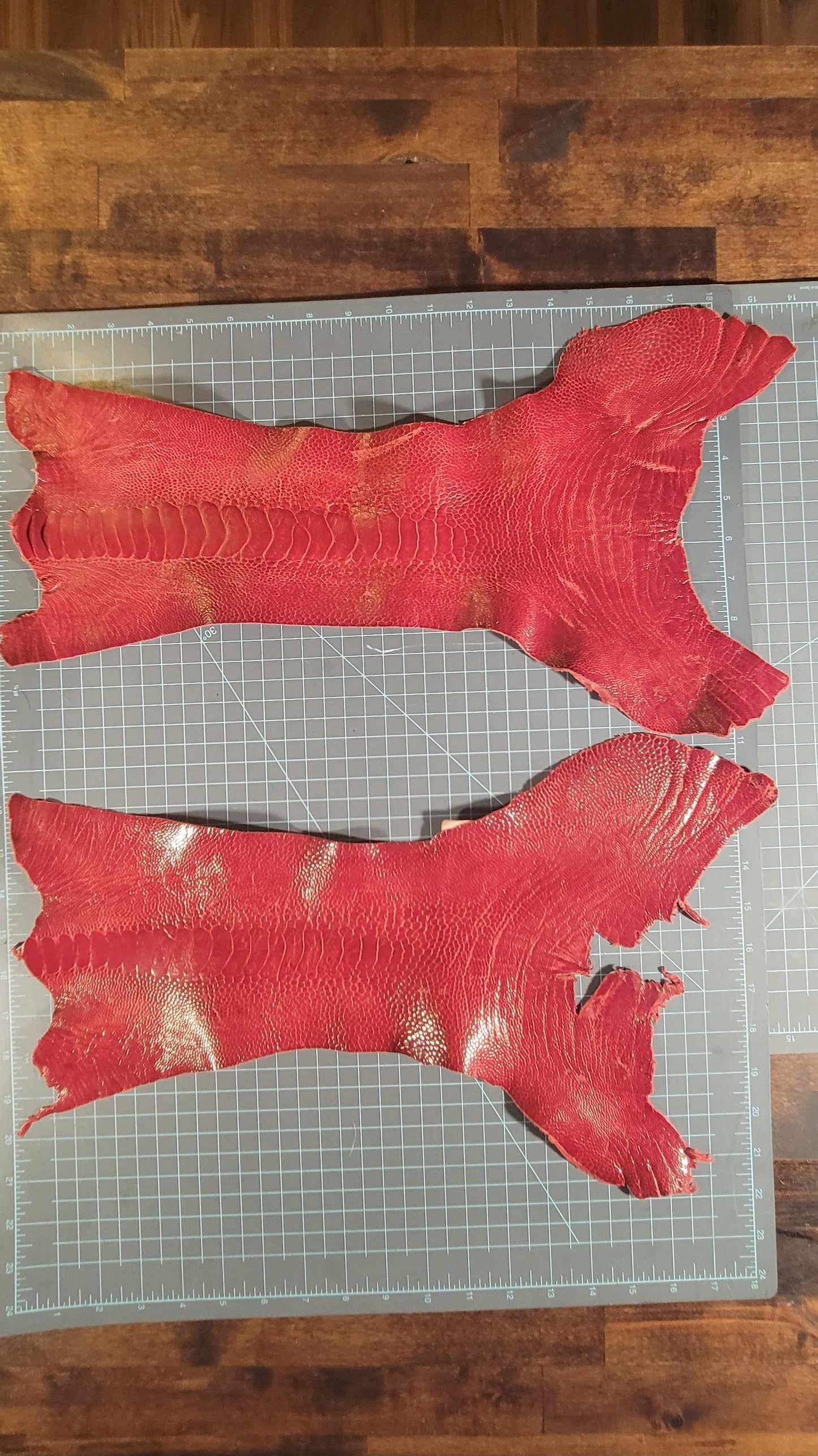 Red ostrich leg