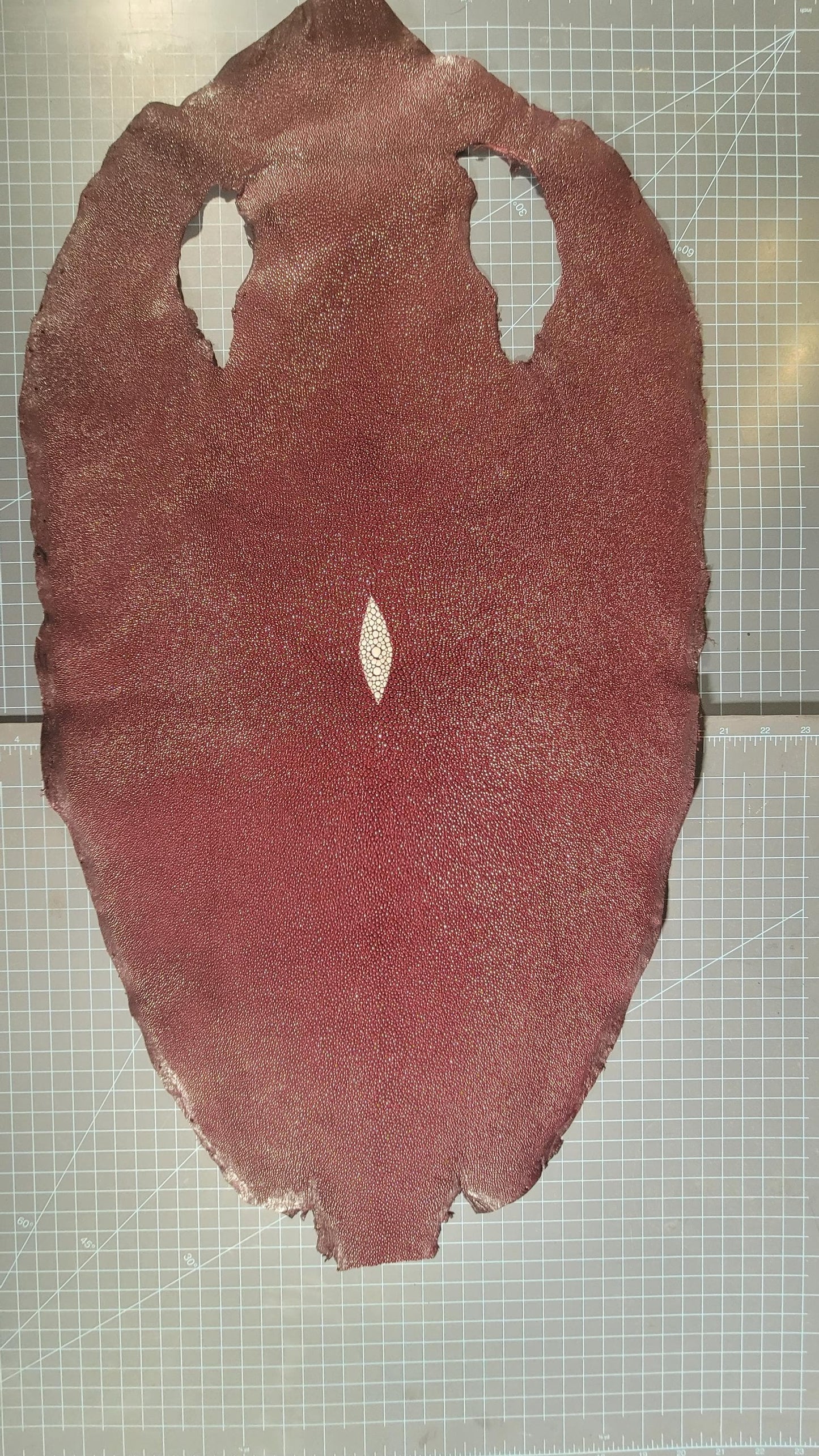 Large Burgundy Stingray Leather Hide – Tanned Exotic Skin – Durable, Textured, Pebbled – Great for Wallets, Belts, Sheaths, Bags, and Crafts