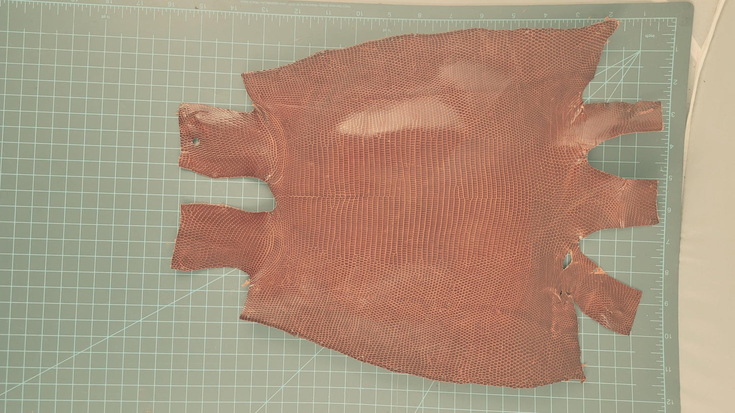 Tanned Ring Lizard Leather – Medium Exotic Skins – Multicolor – Handmade Goods & Fine Leathercraft, Belts, Wallets, Purses, Bags, Billfolds