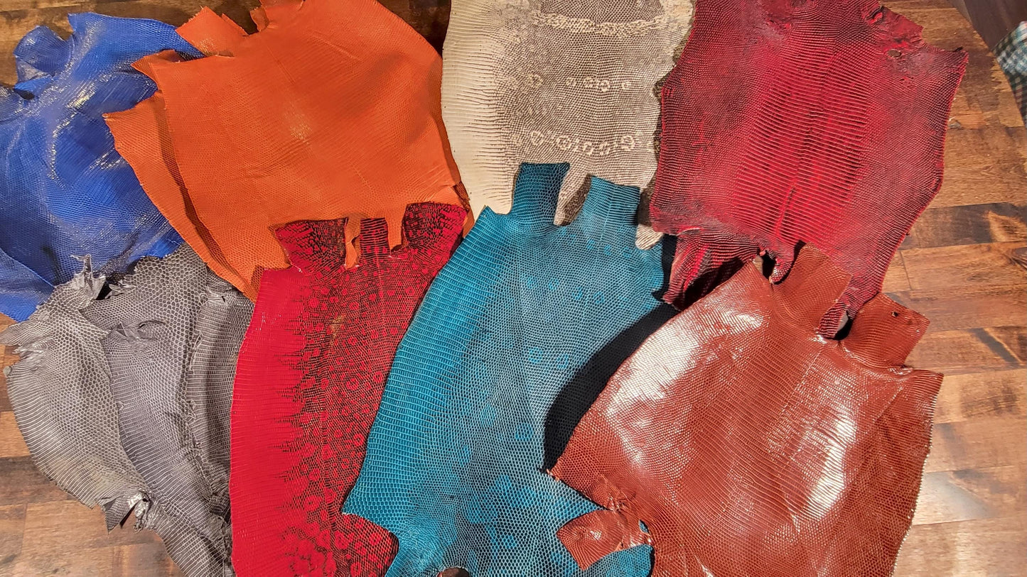 Tanned Ring Lizard Leather – Medium Exotic Skins – Multicolor – Handmade Goods & Fine Leathercraft, Belts, Wallets, Purses, Bags, Billfolds